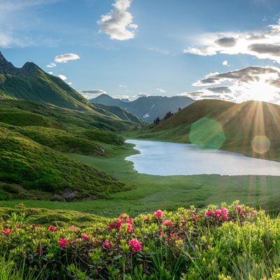 blumenwanderung